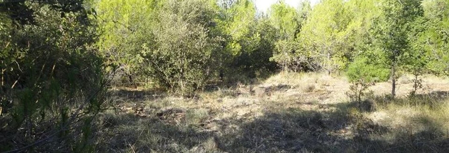 Terrain  23880 m² à vendre à Esparron-de-Verdon (04800)