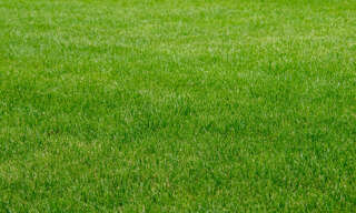 Terrain  1390 m² à vendre à Trévières (14710)