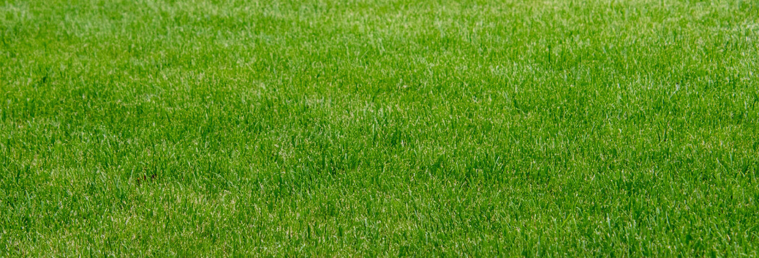 Terrain  1390 m² à vendre à Trévières (14710)