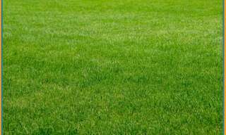 Terrain  3172 m² à vendre à Caen (14000)