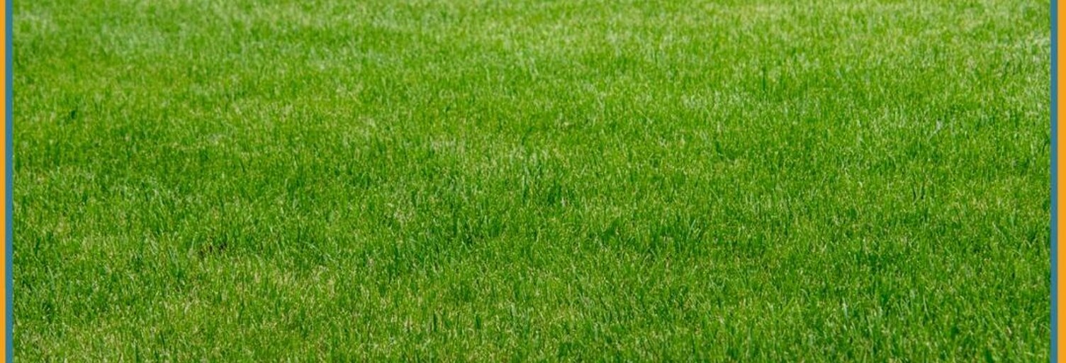 Terrain  3172 m² à vendre à Caen (14000)