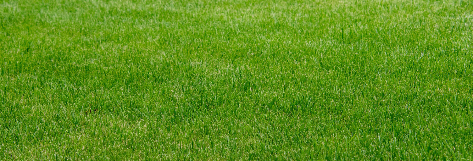 Terrain  1400 m² à vendre à Rouvres (14190)