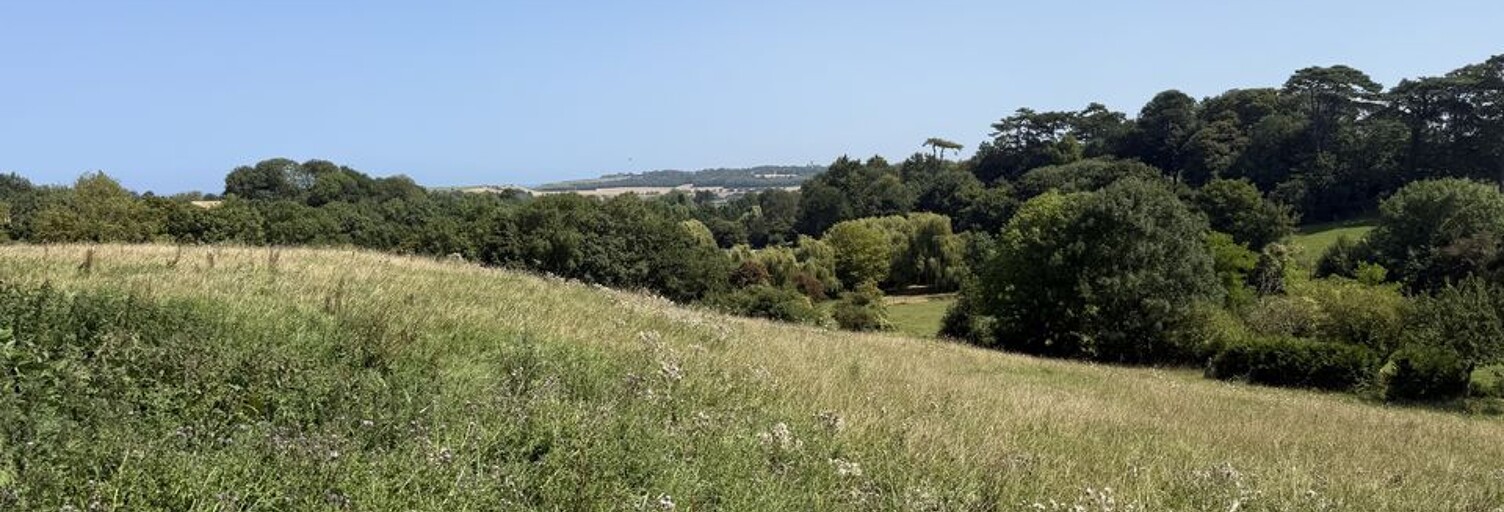 Terrain   m² à vendre à Port-en-Bessin-Huppain (14520)