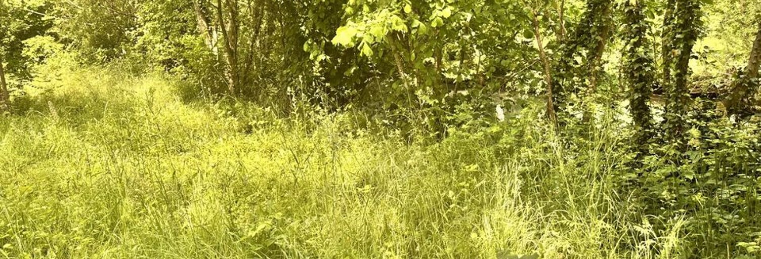 Terrain  485 m² à vendre à Arc-sur-Tille (21560)