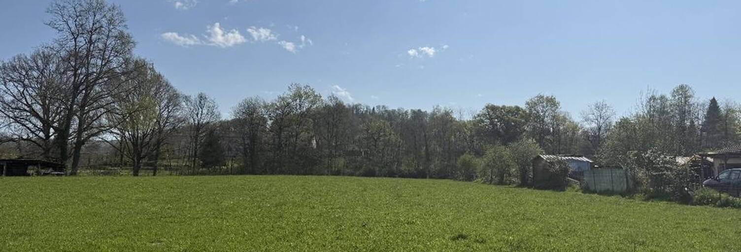 Terrain  6168 m² à vendre à Mane (31260)