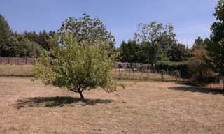 Commerce  1665 m² à vendre à Le Lonzac (19470)