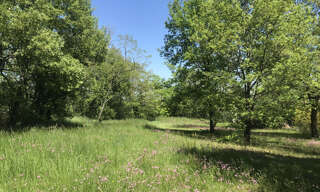 Terrain  2200 m² à vendre à Mauressac (31190)