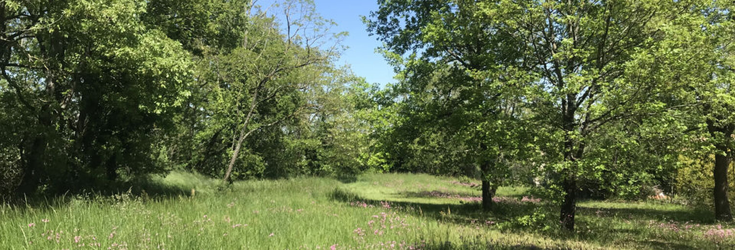 Terrain  2200 m² à vendre à Mauressac (31190)