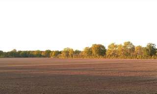 Terrain  810000 m² à vendre à Jeu-les-Bois (36120)