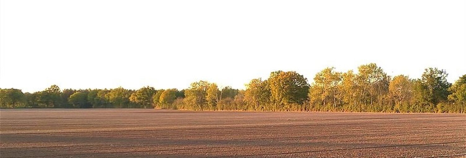 Terrain  810000 m² à vendre à Jeu-les-Bois (36120)