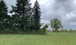 Terrain  3917 m² à vendre à La Roche-en-Brenil (21530)