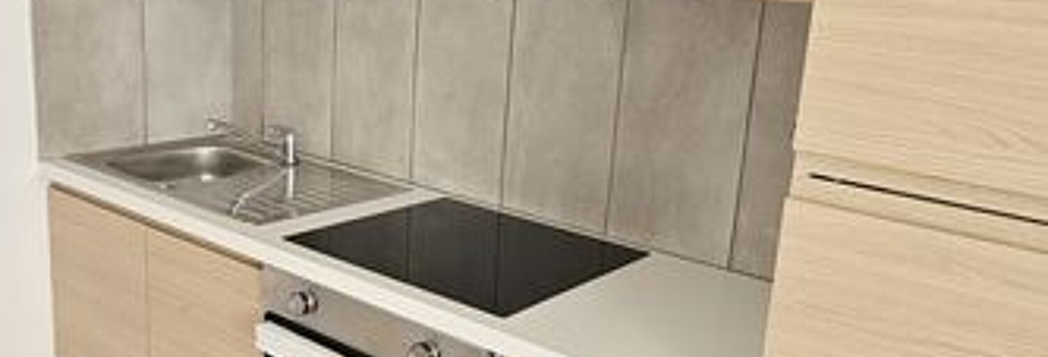 Appartement 1 Pièce 11 m² à louer à Lyon 7 (69007)