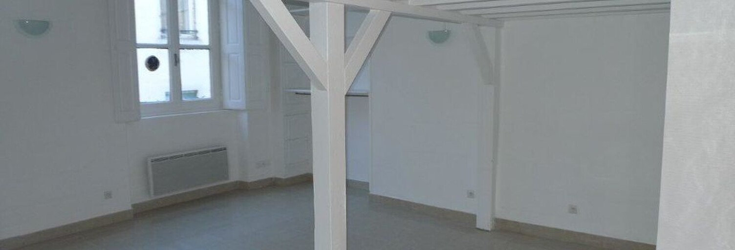 Appartement 1 Pièce 47 m² à louer à Lyon 1 (69001)