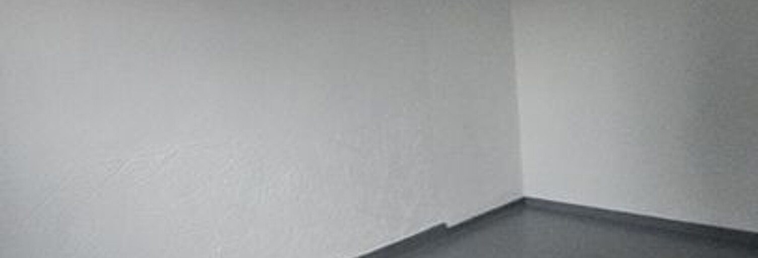 Appartement 1 Pièce 24 m² à louer à Villeurbanne (69100)