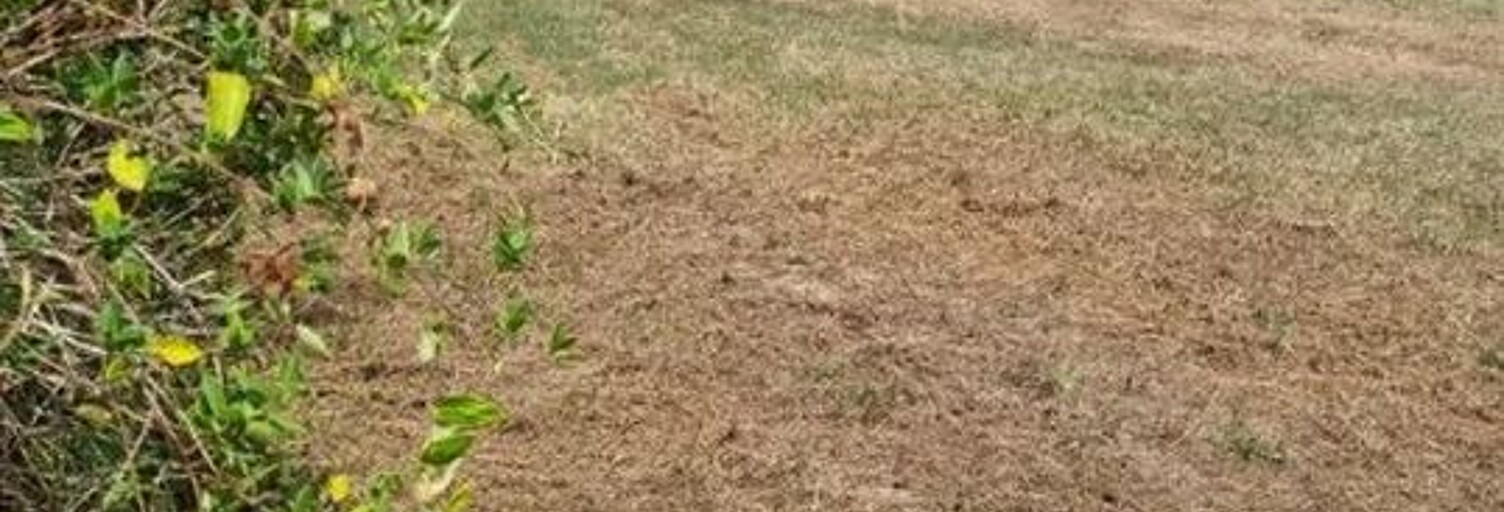 Terrain  1950 m² à vendre à Saint-Gaudens (31800)