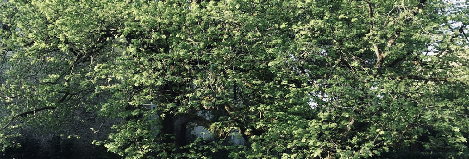 Terrain  818 m² à vendre à Ballan-Miré (37510)