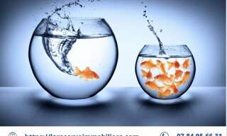 Bureau  19 m² à louer à Nîmes (30000)