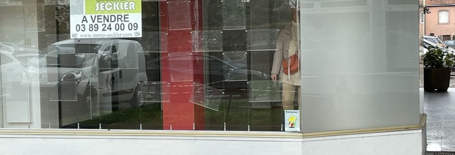 Local industriel 2 Pièces 42 m² à vendre à Colmar (68000)