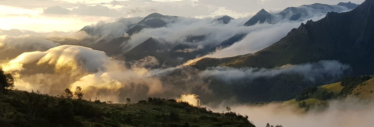 Immeuble  572 m² à vendre à Artalens-Souin (65400)