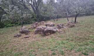 Terrain  800 m² à vendre à Flayosc (83780)