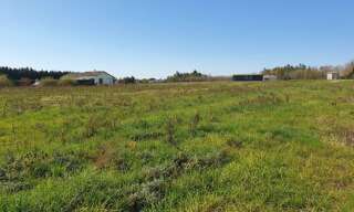 Terrain  5900 m² à vendre à Loupiac-de-la-Réole (33190)