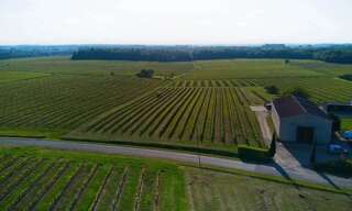 Maison 6 Pièces 288 m² à vendre à Sauveterre-de-Guyenne (33540)