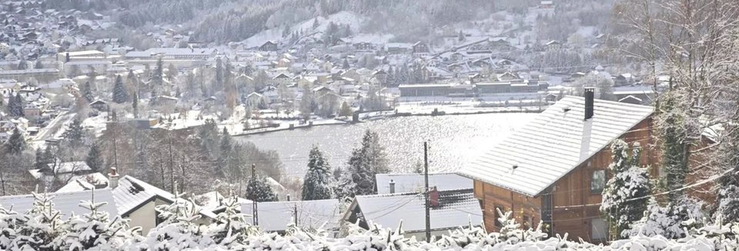 Maison 10 Pièces 254 m² à vendre à Gérardmer (88400)