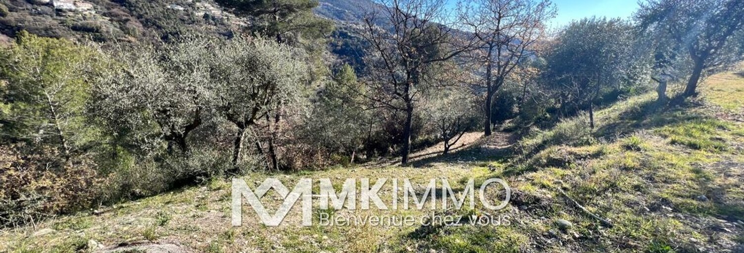 Terrain  1403 m² à vendre à Castagniers (06670)