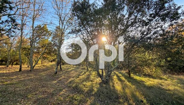 Terrain  à vendre Vallon-Pont-d'Arc 07150
