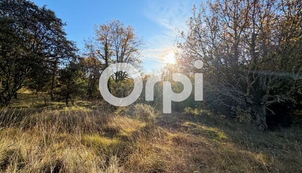 Terrain  à vendre Vallon-Pont-d'Arc 07150
