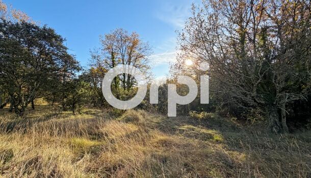 Terrain  à vendre Vallon-Pont-d'Arc 07150