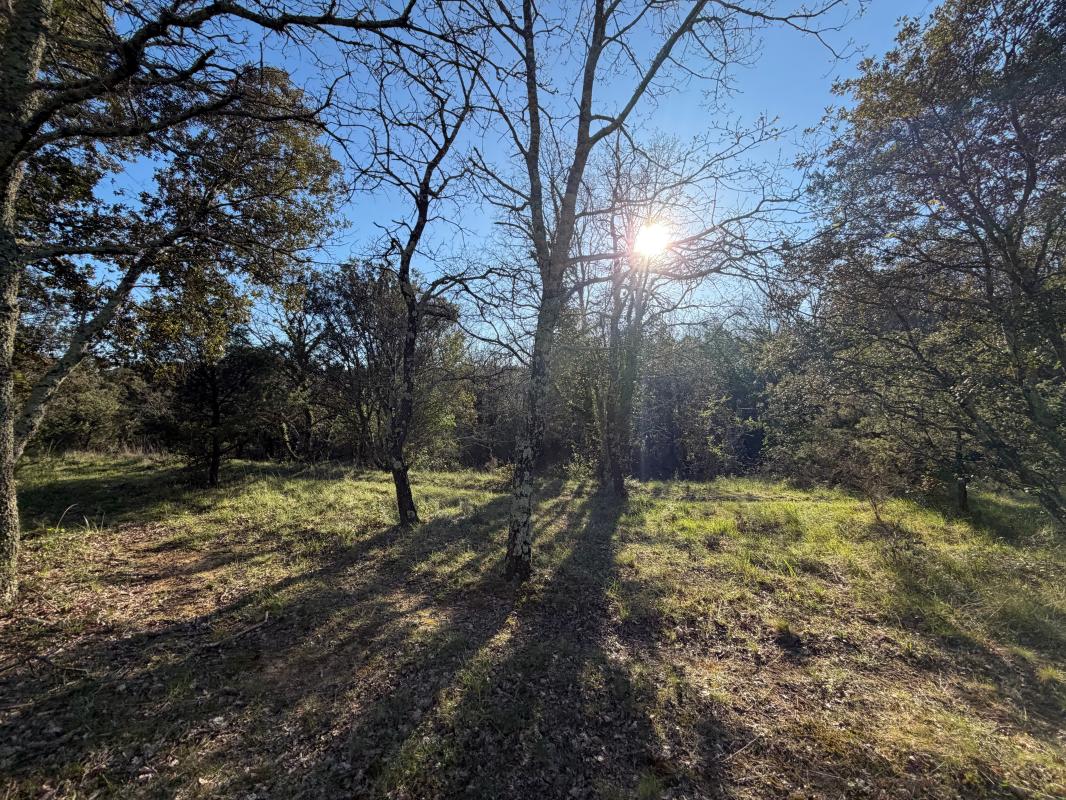 Terrain  à vendre Vallon-Pont-d'Arc 07150