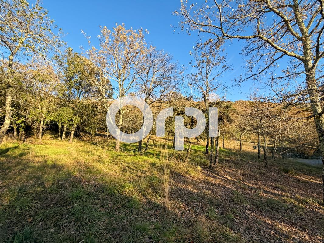 Terrain  à vendre Vallon-Pont-d'Arc 07150