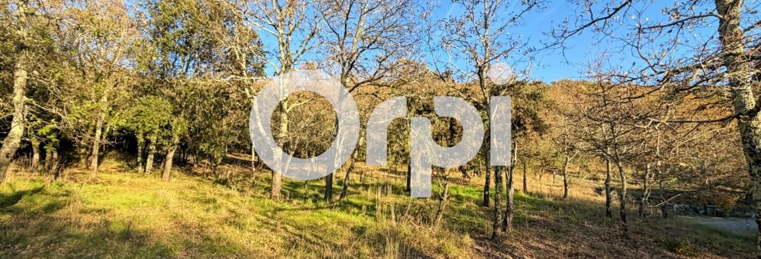 Terrain  4376 m² à vendre à Vallon-Pont-d'Arc (07150)