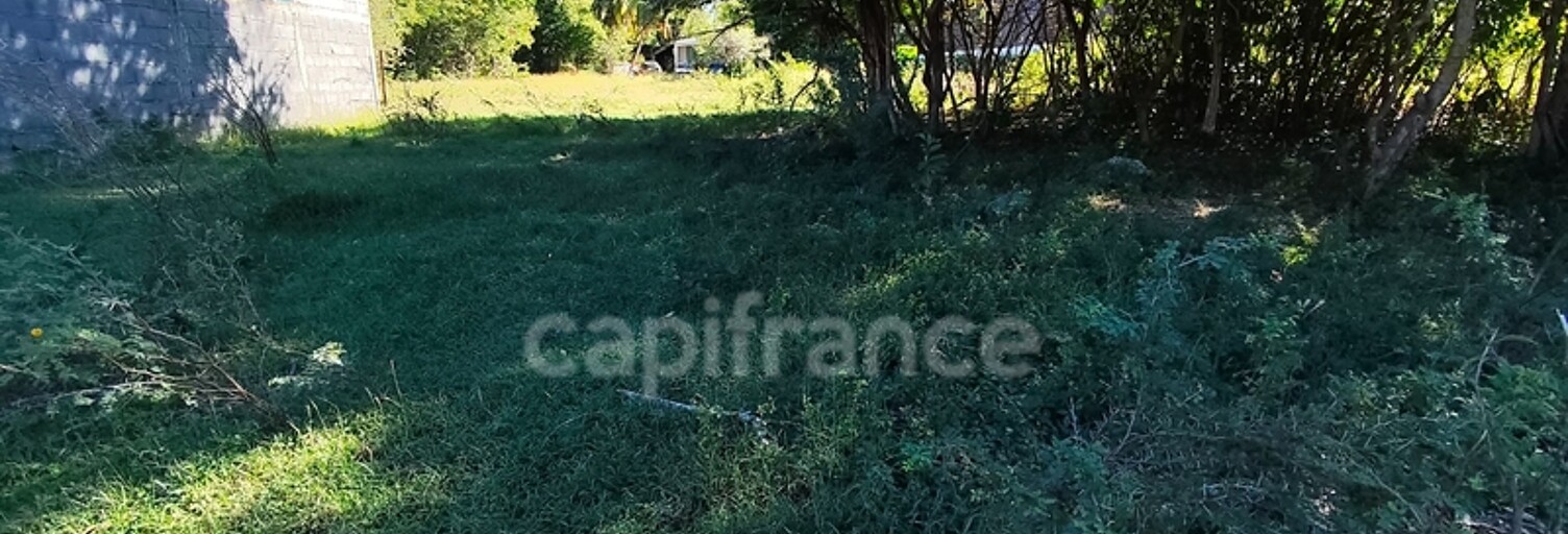Terrain  540 m² à vendre à Anse-Bertrand (97121)