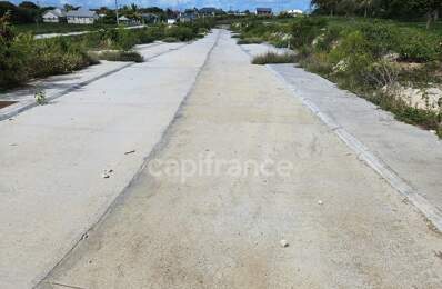 Terrain à vendre dans lotissement neuf à Petit-Canal Guadeloupe — photo du bien