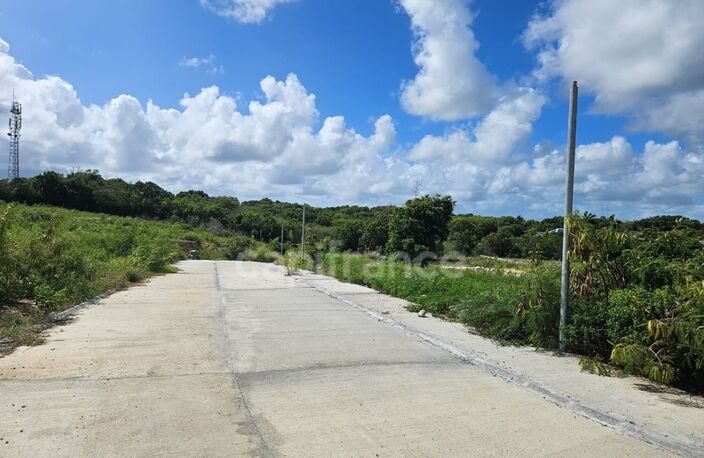 Terrain à vendre dans lotissement neuf à Petit-Canal Guadeloupe — photo 2