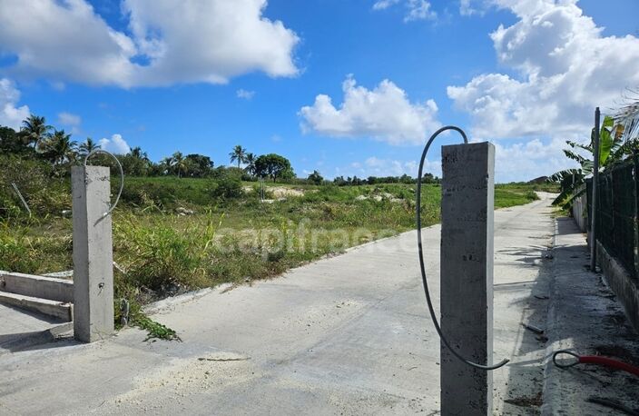 Terrain à vendre dans lotissement neuf à Petit-Canal Guadeloupe — photo 4