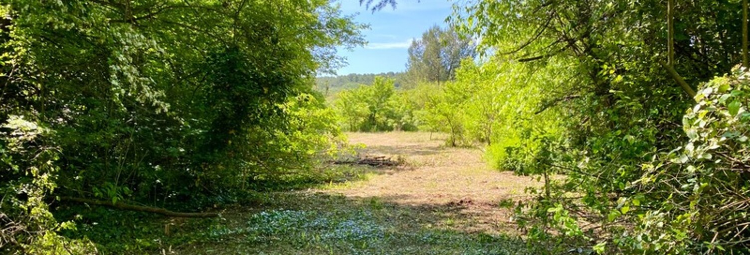 Maison 6 Pièces 216 m² à vendre à Clapiers (34830)