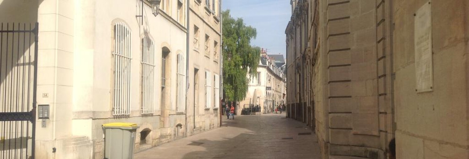 Appartement 1 Pièce 30 m² à louer à Dijon (21000)