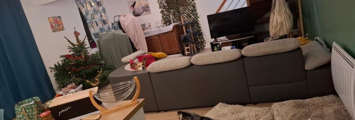 Maison  115 m² à louer à Argentan (61200)