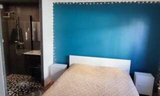 Maison 2 Pièces 50 m² à louer à Maisons-Alfort (94700)