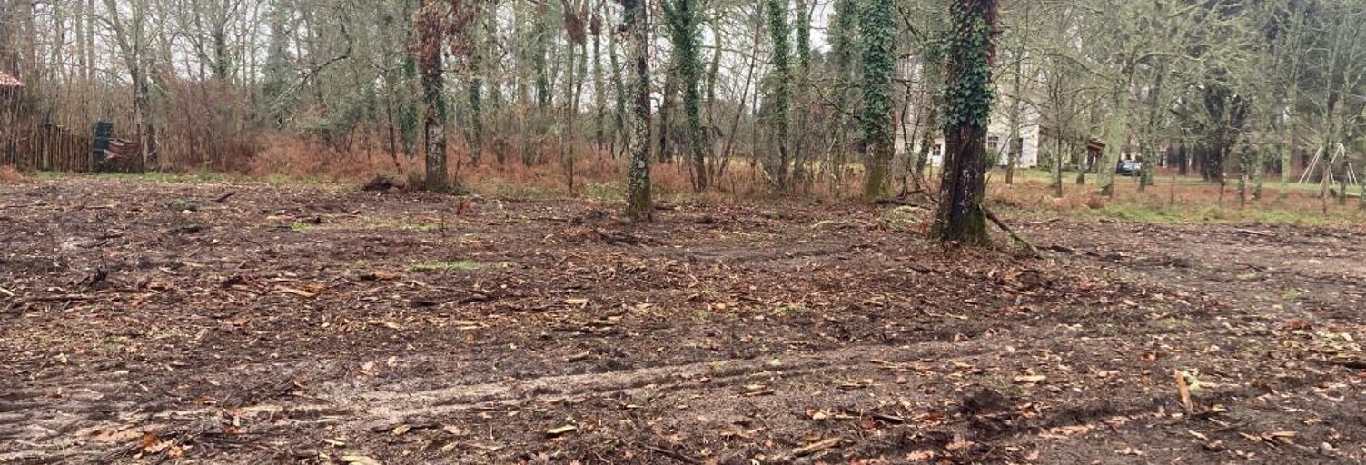 Terrain 3000 m² à construire Salles (33770)