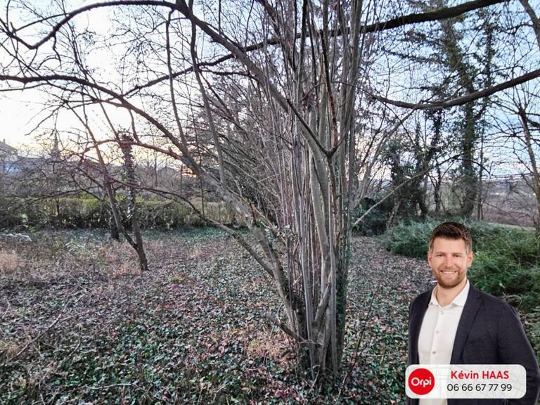 Florange - Terrain À Vendre - 733m² - hors lotissement — photo 1