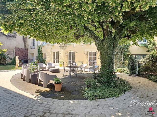 Demeure de charme Chauvigny - 9 pièce(s) 330 m2 — photo du bien