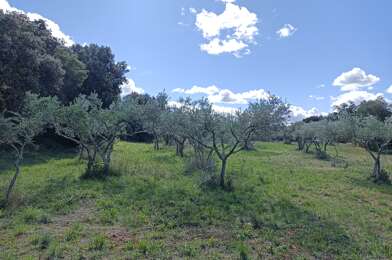 Terrain  315000 €