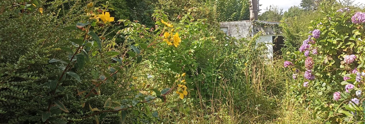 Maison 3 Pièces 68 m² à vendre à Plounéour-Ménez (29410)