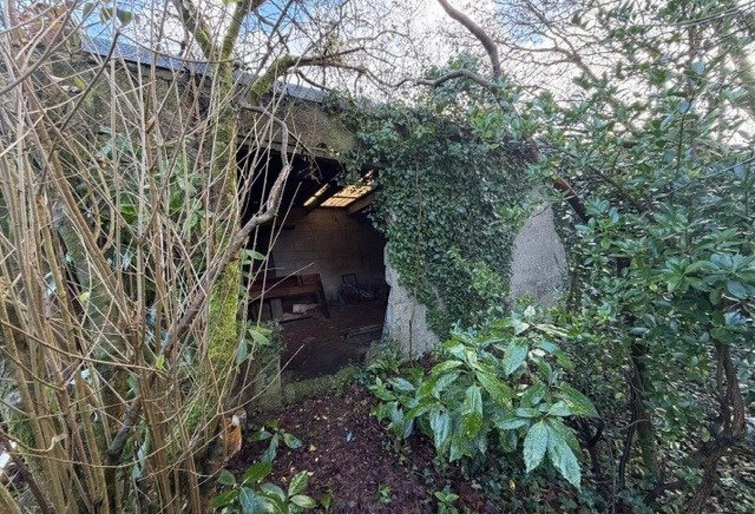 Terrain viabilisé avec ruine — photo 1