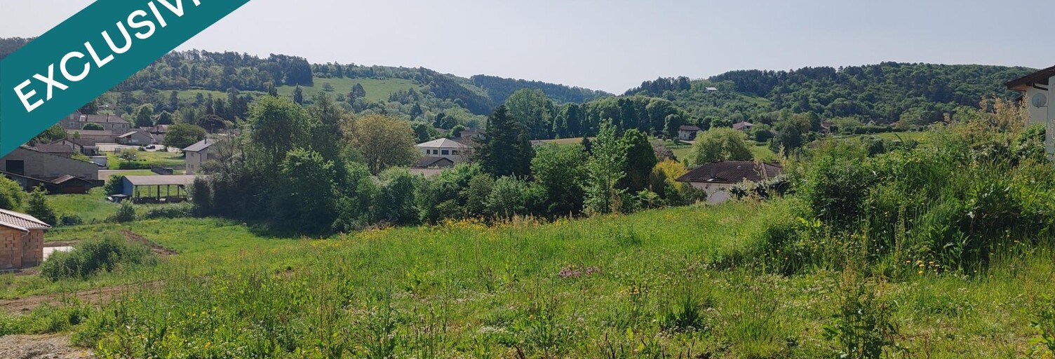Terrain  1499 m² à vendre à Meillonnas (01370)