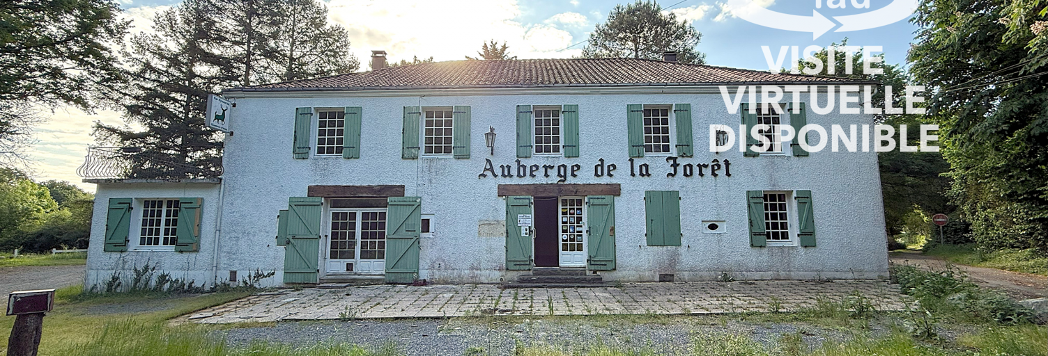 Maison 13 Pièces 390 m² à vendre à Mervent (85200)